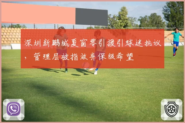 深圳新鹏城夏窗零引援引球迷抗议，管理层被指放弃保级希望