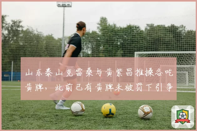 山东泰山克雷桑与黄紫昌推搡各吃黄牌,此前已有黄牌未被罚下引争议