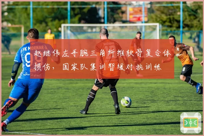 赵继伟左手腕三角纤维软骨复合体损伤，国家队集训暂缓对抗训练