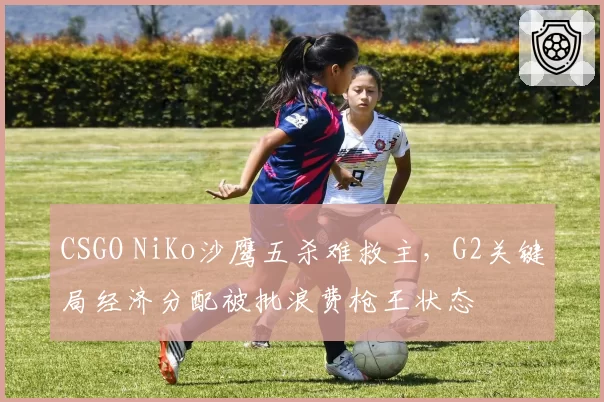CSGO NiKo沙鹰五杀难救主,G2关键局经济分配被批浪费枪王状态